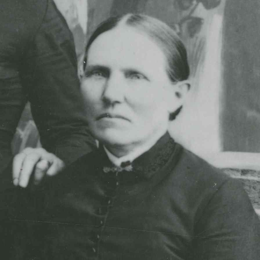 Harriet Wight Phelps (1832 - 1893) Profile